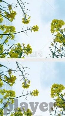 中韩足球历届比分-中韩足球交锋史，比分背后的竞技风云与时代变迁
